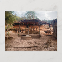 Rural Wooden Village Hut with Animals, Laos Briefkaart