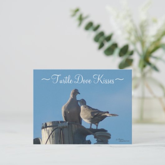 Ruringschildpad Briefkaart (Staand voorkant)