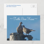 Ruringschildpad Briefkaart (Voorkant / Achterkant)