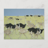 Rush uur 2 briefkaart (Voorkant)