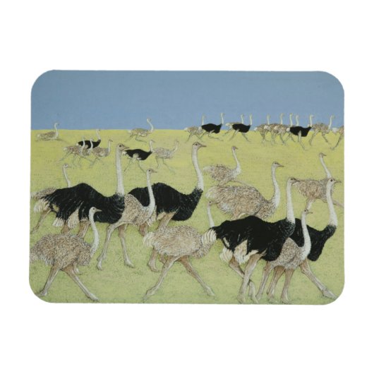 Rush uur 2 magneet (Horizontaal)