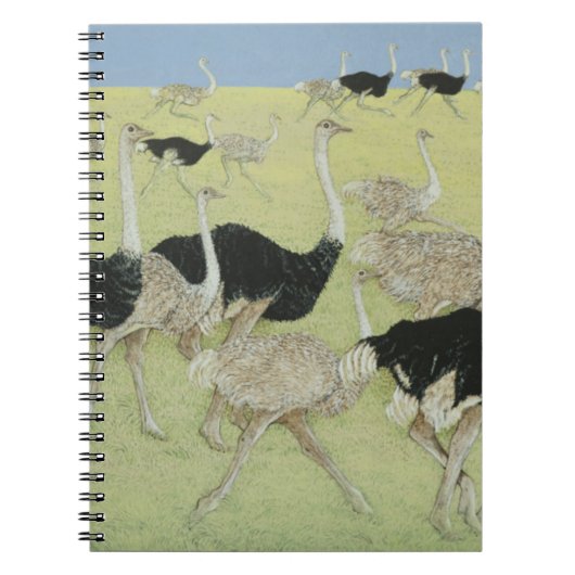 Rush uur 2 notitieboek (Voorkant)