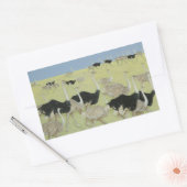 Rush uur rechthoekige sticker (Envelop)