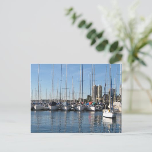 Rushcutters Bay Briefkaart (Staand voorkant)
