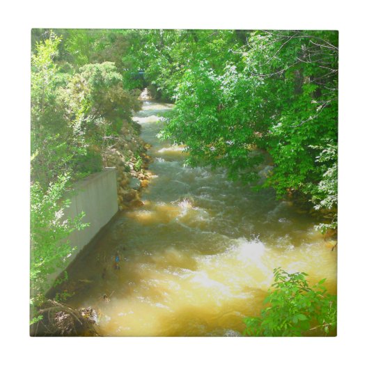 Rushing River onder de Trees Tile Tegeltje (Voorkant)