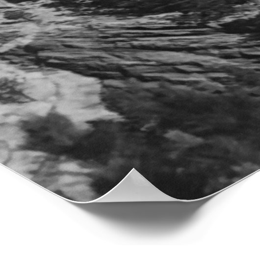 Rushmore Black en White Poster (Hoek)