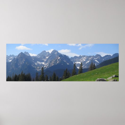 Rusinowa meadow Tatras Poster (Voorkant)
