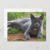 Rusland Blue, Natasha Briefkaart (Voorkant / Achterkant)