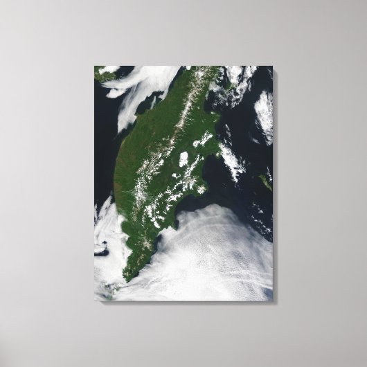 Rusland: Kaap Koolvis - Gratis Grijze zuivel - Kam Canvas Afdruk (Voorkant)