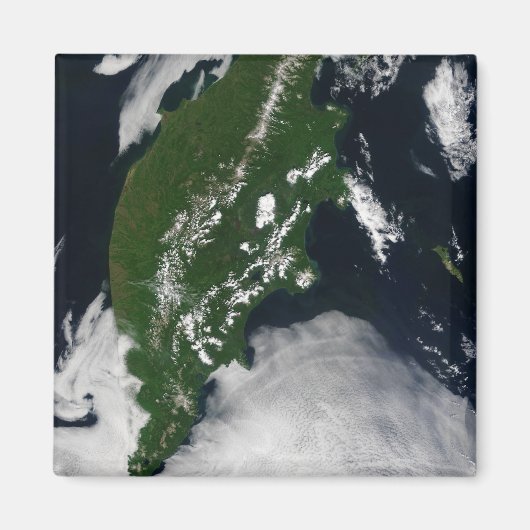 Rusland: Kaap Koolvis - Gratis Grijze zuivel - Kam Magneet (Voorkant)