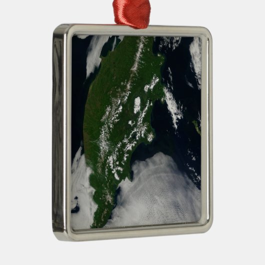 Rusland: Kaap Koolvis - Gratis Grijze zuivel - Kam Metalen Ornament (Rechts)