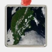 Rusland: Kaap Koolvis - Gratis Grijze zuivel - Kam Metalen Ornament (Voorkant)