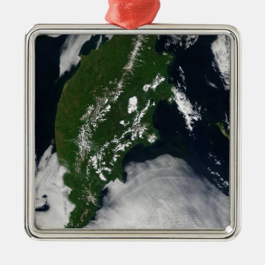 Rusland: Kaap Koolvis - Gratis Grijze zuivel - Kam Metalen Ornament (Voorkant)