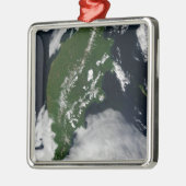 Rusland: Kaap Koolvis - Gratis Grijze zuivel - Kam Metalen Ornament (Links)