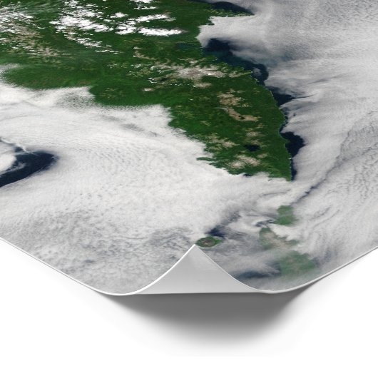 Rusland: Kaap Koolvis - Gratis Grijze zuivel - Kam Poster (Hoek)