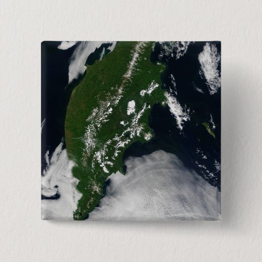 Rusland: Kaap Koolvis - Gratis Grijze zuivel - Kam Vierkante Button 5,1 Cm (Voorkant)