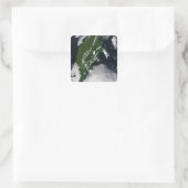 Rusland: Kaap Koolvis - Gratis Grijze zuivel - Kam Vierkante Sticker (Tas)