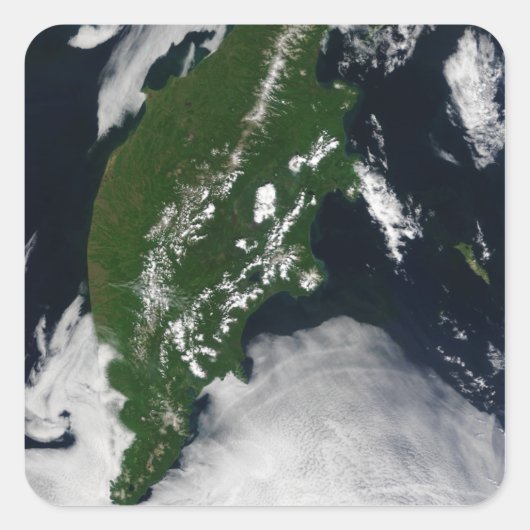 Rusland: Kaap Koolvis - Gratis Grijze zuivel - Kam Vierkante Sticker (Voorkant)