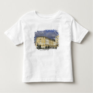 Rusland, Moskou, Kremlin, Senaatspaleis, Kinder Shirts