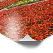 Rusland, Moskou, Rode Plein, Alexandrovsky Foto Afdruk (Hoek)