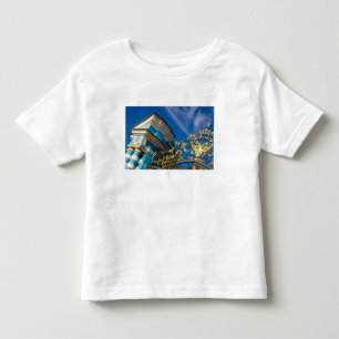 Rusland, Poesjkin. Hekdetail en steuntoren Kinder Shirts