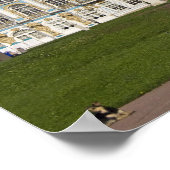 Rusland, Sint-Petersburg, Catherine's Palace (alia Poster (Hoek)