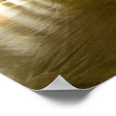 Rusland, Sint-Petersburg, Catherine's Palace (alia Poster (Hoek)