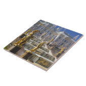 Rusland, Sint-Petersburg, de Grote Cascade, Tegeltje (Zijkant)