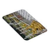 Rusland, Sint-Petersburg, Peterhoff (alias 2 Magneet (Rechterzijde)