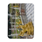 Rusland, Sint-Petersburg, Peterhoff (alias 2 Magneet (Verticaal)