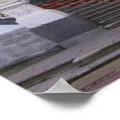 Rusland, Sint-Petersburg, Pushkin, Catherine's 5 Poster (Hoek)