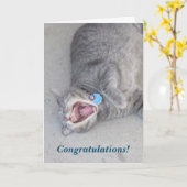 Russ de Kaart van de Gelukwensen van de Kat (Gele Bloem)