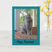 Russ The Cat Happy Anniversary Greeting Card Kaart (Gele Bloem)