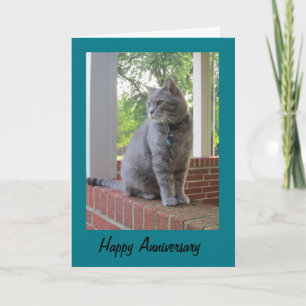 Russ The Cat Happy Anniversary Greeting Card Kaart