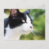 Russell 1 briefkaart (Voorkant)