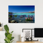 Russell Lupins in Lake Tekapo, New Zealand Poster (Thuiskantoor)