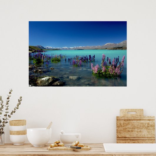 Russell Lupins in Lake Tekapo, New Zealand Poster (Keuken)
