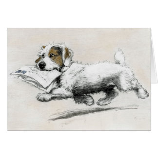 Russell Terrier levert post