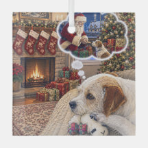 Russell Terrier Vakantie