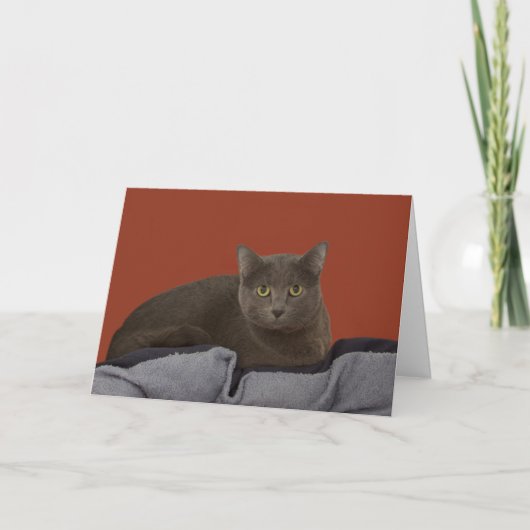 Russian Blue Birthday Kaart beroemd gemaakt door F (Voorkant)