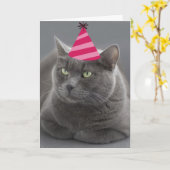 Russian Blue Cat Birthday Kaart Focus for a Cause (Gele Bloem)
