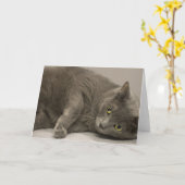 Russian Blue Cat Blank Note Kaart (Gele Bloem)