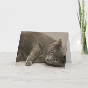 Russian Blue Cat Blank Note Kaart
