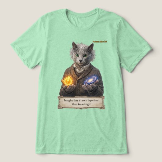 Russian Blue Einstein Cat - Imagination Tri-Blend Shirt (Design voorkant)