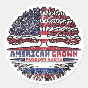 Russisch - Amerikaanse Amerikaanse Amerikaanse Ame Ronde Sticker