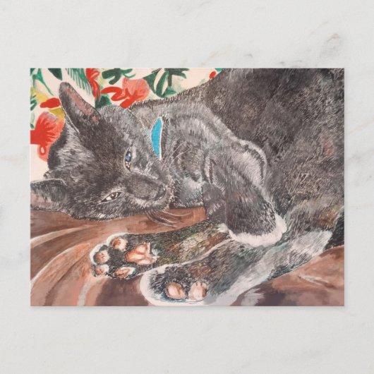 Russisch Blau kat kortharige katten grijs Nederlan Briefkaart (Voorkant)