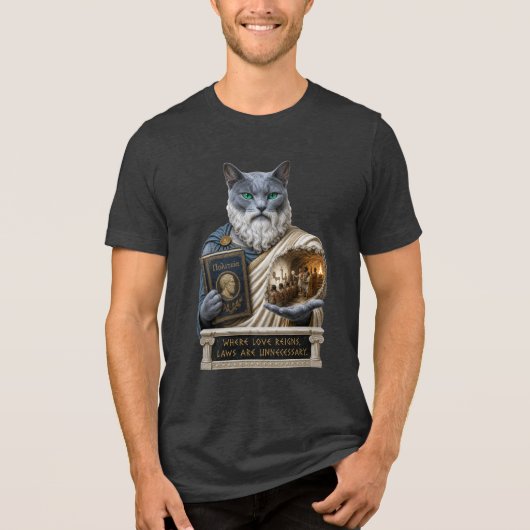 Russisch Blau Plato Kat Tri-Blend Shirt (Voorkant)