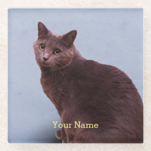 Russisch blauw blik glazen onderzetter