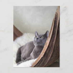 Russisch blauw briefkaart