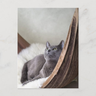 Russisch blauw briefkaart